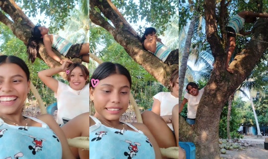 alc.carm TikTok Live — Oct 2, 2026, 10:25 PM