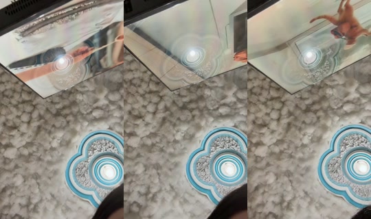 ale.rubio0 TikTok Live — Sep 3, 2026, 2:05 PM