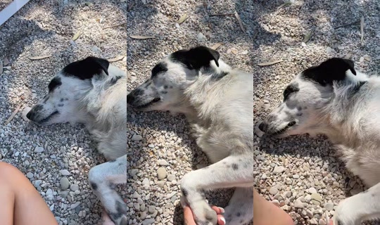 alessiaellereall TikTok Live — Oct 1, 2026, 11:28 AM