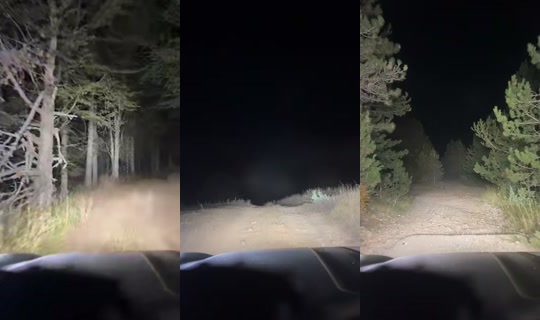 alex_adventure TikTok Live — Oct 9, 2026, 5:45 PM