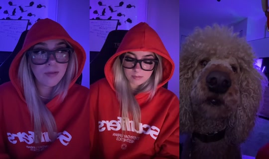alexreuter_ TikTok Live — Sep 2, 2026, 8:55 AM