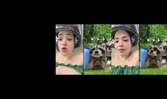 alfanibelitza1 TikTok Live — Oct 2, 2026, 8:09 PM