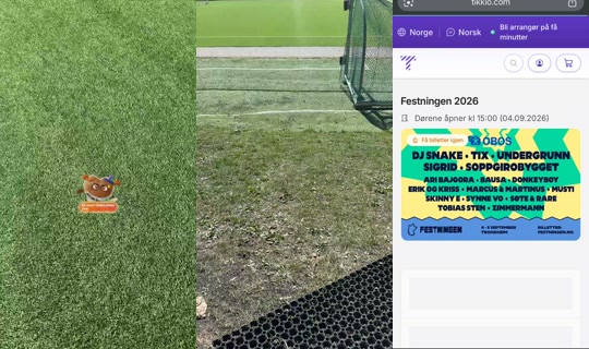 alfapitpuddel TikTok Live — Aug 24, 2026, 12:59 PM