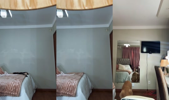 alicemaiochi TikTok Live — Oct 2, 2026, 11:55 AM