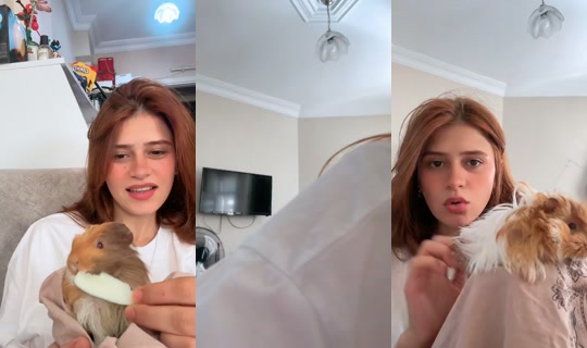 alina0.77 TikTok Live — Aug 24, 2026, 10:56 AM