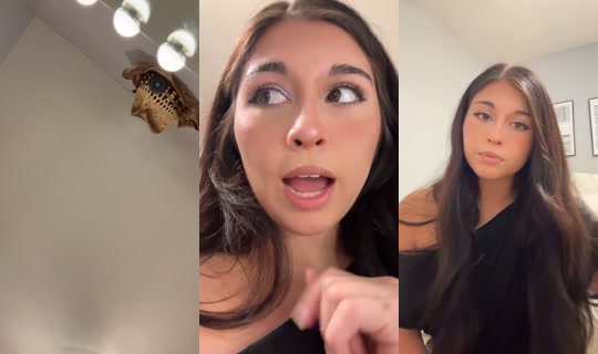 aliyahgradillas TikTok Live — Aug 22, 2026, 5:16 AM