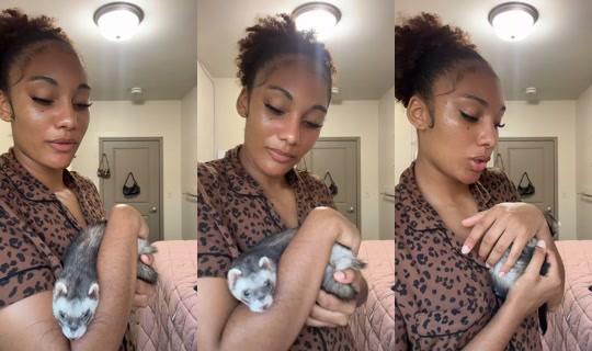 alline_pimpin TikTok Live — Aug 29, 2026, 11:30 PM