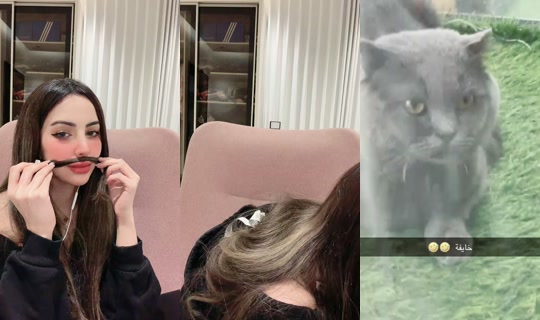almaaas16 TikTok Live — Sep 2, 2026, 8:27 AM