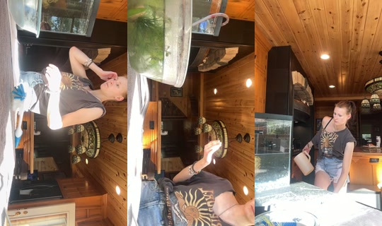 almaeggert TikTok Live — Sep 28, 2026, 7:41 PM