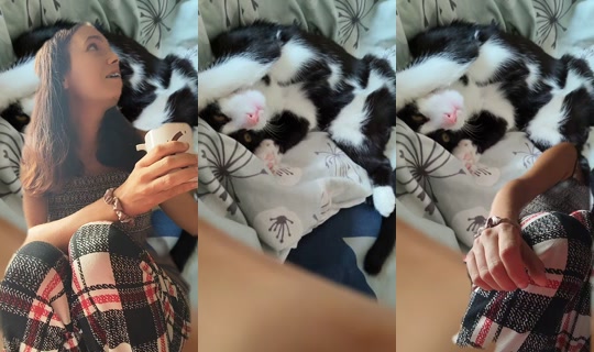 ambre.theo TikTok Live — Oct 4, 2026, 9:49 AM