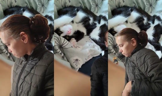 ambre.theo TikTok Live — Oct 5, 2026, 7:17 AM
