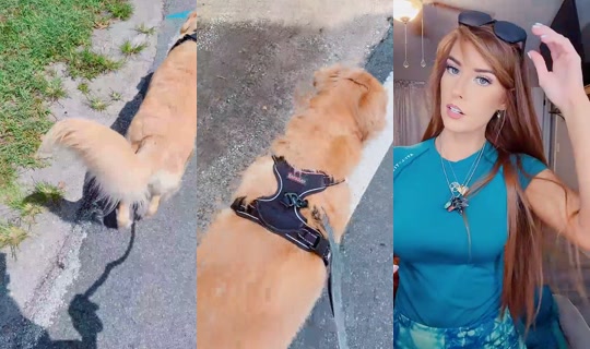 amjo9124 TikTok Live — Aug 31, 2026, 4:51 PM