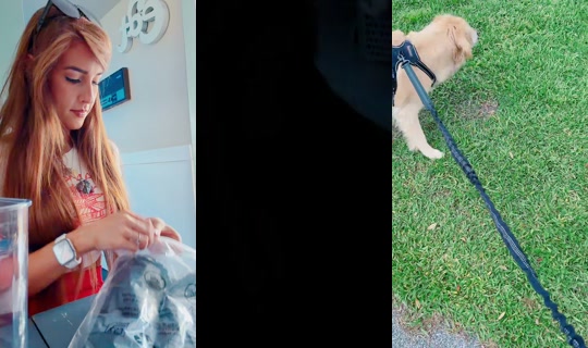 amjo9124 TikTok Live — Sep 3, 2026, 5:20 PM
