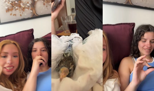 ana_riguetoo TikTok Live — Sep 3, 2026, 4:41 PM