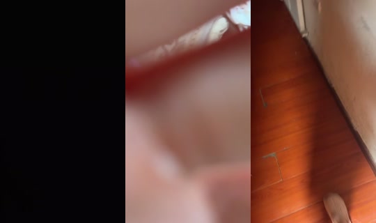 andrea.muoz346 TikTok Live — Sep 23, 2026, 3:48 PM