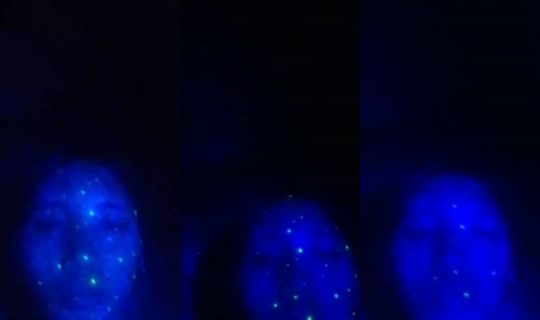 angelacutamora728 TikTok Live — Aug 31, 2026, 2:31 PM