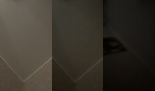 angelinka5129 TikTok Live — Aug 28, 2026, 12:05 PM