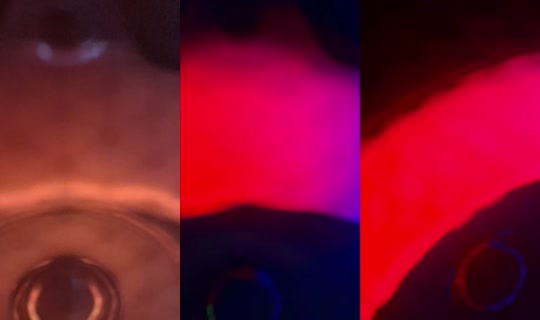 animanera481 TikTok Live — Sep 2, 2026, 4:51 PM
