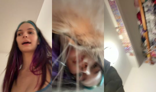 animatedcafelive TikTok Live — Sep 3, 2026, 4:31 AM
