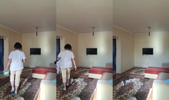 ankrfa06 TikTok Live — Aug 24, 2026, 2:35 PM