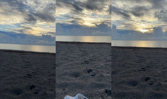 annabananabr3ad TikTok Live — Sep 20, 2026, 11:24 AM