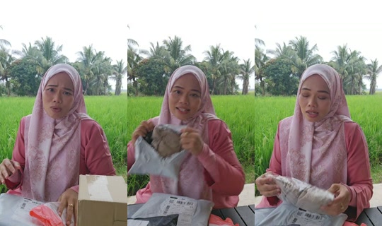 annanuruljannah TikTok Live — Sep 15, 2026, 10:37 AM