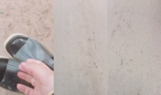 antikbachbach TikTok Live — Aug 20, 2026, 4:02 PM