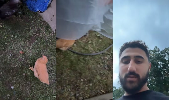 arabicmclovin TikTok Live — Oct 2, 2026, 10:45 PM