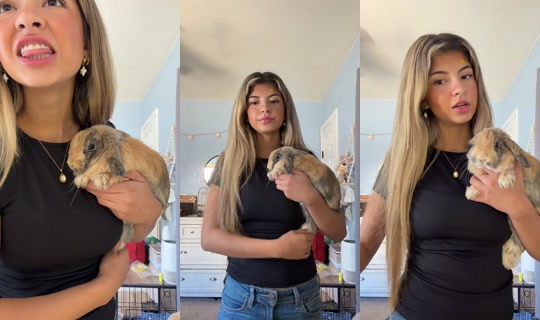 ariana.a_27 TikTok Live — Oct 7, 2026, 5:50 PM