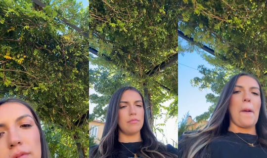 ariana_ribeiro00 TikTok Live — Sep 13, 2026, 9:17 AM