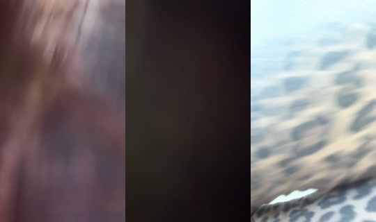 armyanka_oo1 TikTok Live — Sep 2, 2026, 5:07 AM