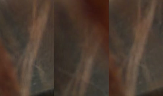 armyanka_oo1 TikTok Live — Sep 3, 2026, 8:09 AM