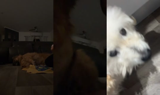 ash_bee16 TikTok Live — Aug 22, 2026, 10:12 AM