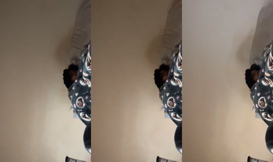 ashantaikemp TikTok Live — Oct 2, 2026, 10:23 PM