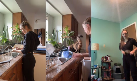 ashhhhhh094 TikTok Live — Aug 25, 2026, 4:33 PM