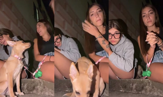 asia_scuro TikTok Live — Sep 23, 2026, 7:19 PM