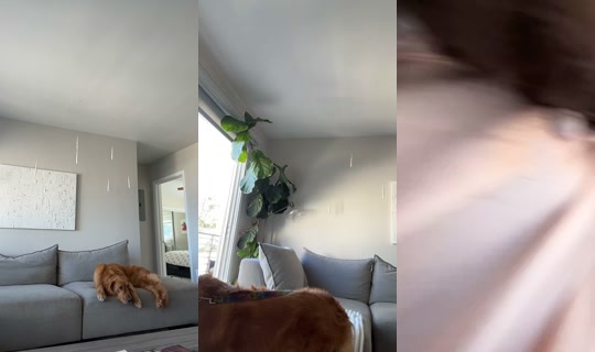 asmitaidate TikTok Live — Aug 23, 2026, 3:35 PM