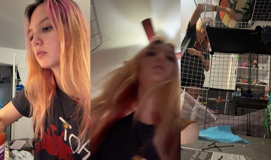 attemptsatexisting TikTok Live — Oct 8, 2026, 6:44 AM