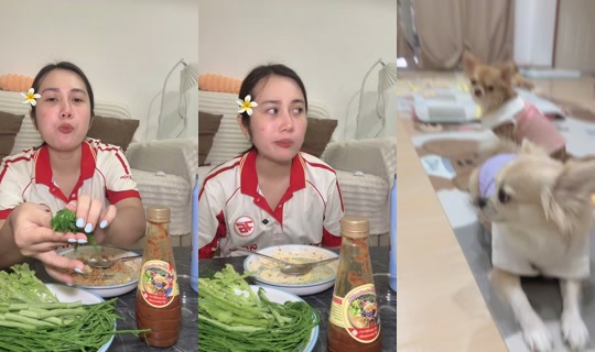 aun13_aunny TikTok Live — Sep 13, 2026, 8:18 AM