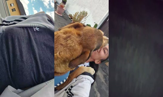 aurelia0171998 TikTok Live — Aug 31, 2026, 1:54 PM
