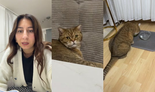 axynak TikTok Live — Aug 23, 2026, 10:42 PM