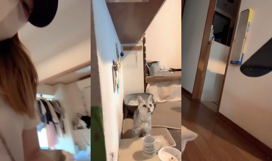 ayayff2211 TikTok Live — Aug 31, 2026, 5:01 AM