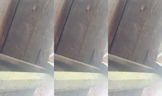 ayisjulia0 TikTok Live — Sep 1, 2026, 3:09 AM