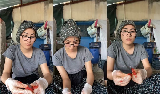 aysegul_33dogan TikTok Live — Sep 28, 2026, 2:03 PM