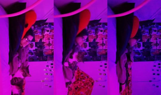 baby_bexsbee TikTok Live — Oct 3, 2026, 12:29 AM