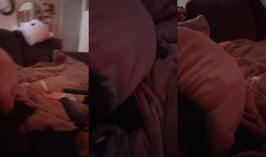 babydollxoxo93 TikTok Live — Sep 21, 2026, 2:01 PM