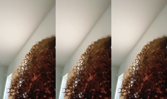 babydumplin1 TikTok Live — Aug 31, 2026, 8:49 PM