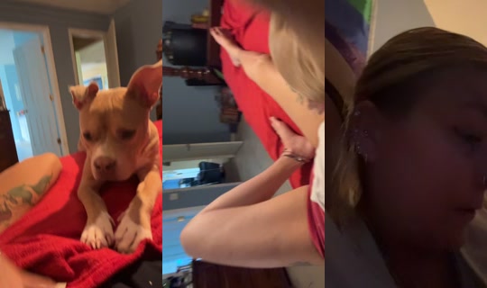 babygurl1984420 TikTok Live — Aug 22, 2026, 9:55 PM
