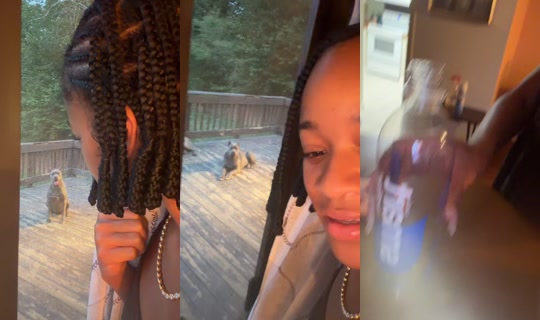 badgurlsi TikTok Live — Sep 12, 2026, 11:47 PM