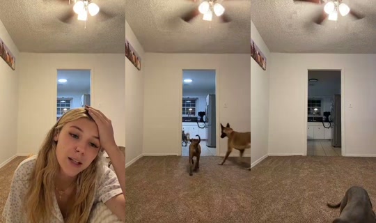 baelee27 TikTok Live — Oct 2, 2026, 12:47 AM